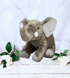 Stuff Animal Toy