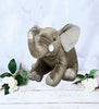 Stuff Animal Toy