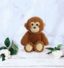 Stuff Animal Toy