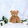 Stuff Animal Toy