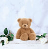Stuff Animal Toy
